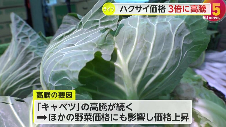 【悲鳴】天候不良やキャベツ高騰が影響か…野菜の価格高騰止まらず白菜が平年の3倍、キャベツ2.7倍など調査対象の野菜8品目全て“高値記録”　｜FNNプライムオンライン
