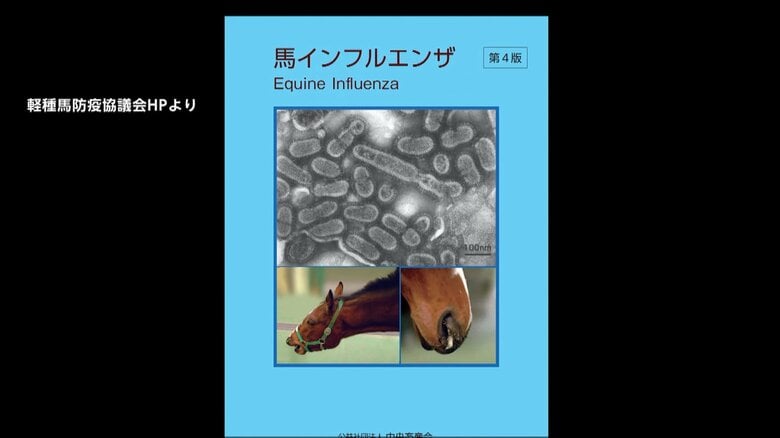 「馬インフルエンザ」国内で17年ぶりに発生…熊本の3農場で確認　競馬の開催などに影響の可能性　殺処分は行われず人間への感染もなし｜FNNプライムオンライン