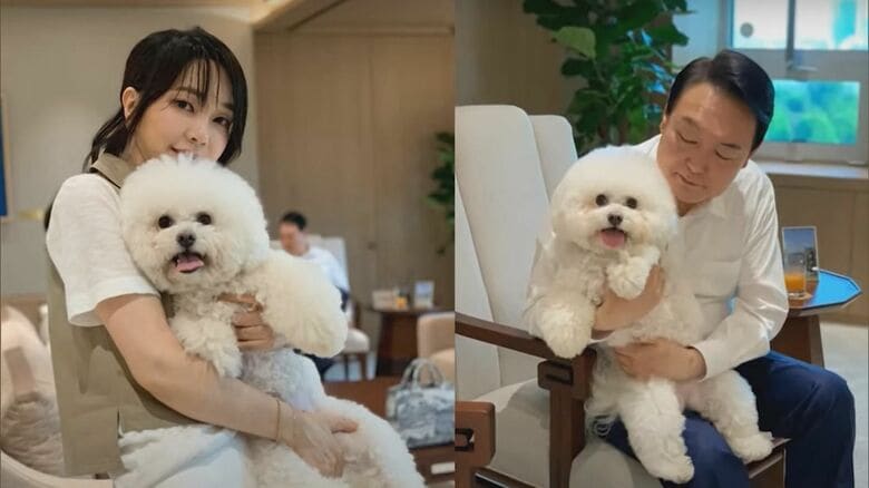 韓国で「犬食禁止法」可決　違反者は最長懲役3年　金建希大統領夫人も「犬の食用禁止は大統領の約束」と発言｜FNNプライムオンライン