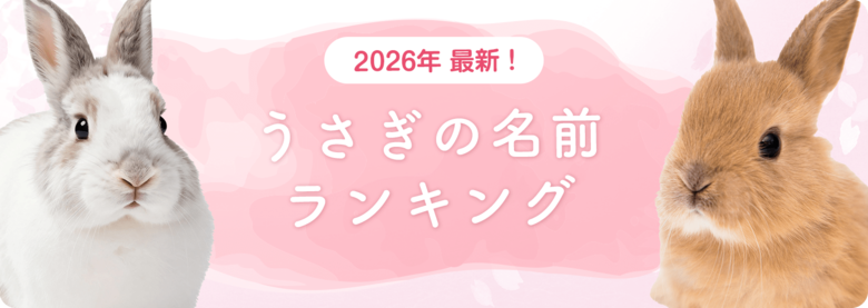 【2026年最新】うさぎの名前ランキングを発表！