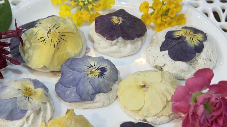 口溶けする“花のメレンゲ”にドライフラワーのドレス　220億円ロス削減へ花店の試み【香川発】｜FNNプライムオンライン