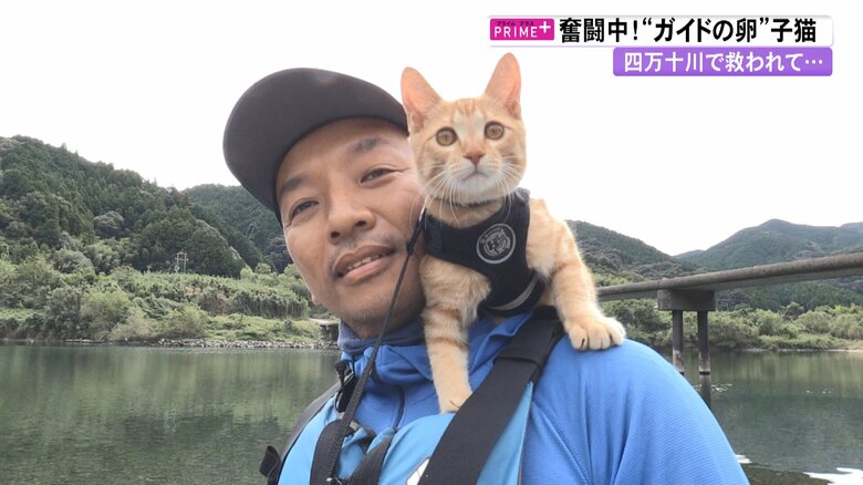 川に捨てられた子猫が“観光ガイドの卵”に　救助した男性に「猫の恩返し」【高知発】｜FNNプライムオンライン