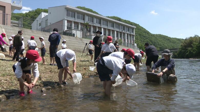 小学生がアユ放流「元気に育って豊かな川に」　私もアユ！西田杏優（あゆ）アナも成長誓う　東広島市河内町｜FNNプライムオンライン