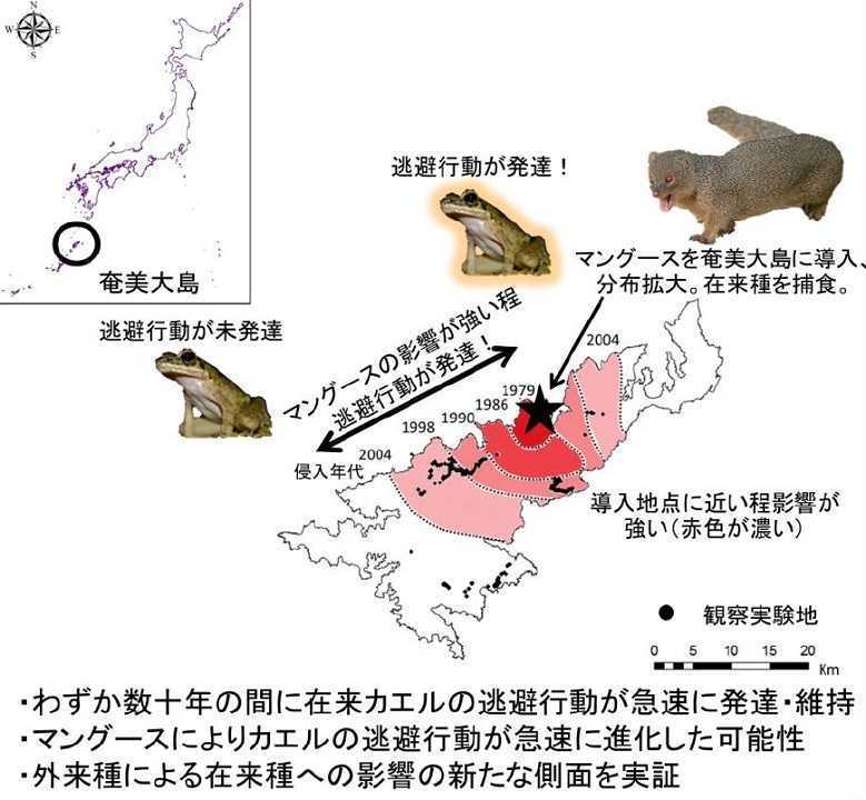 (画像:東京農工大学プレスリリースより)