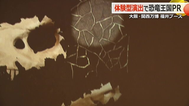 赤外線を当てると化石が現れる