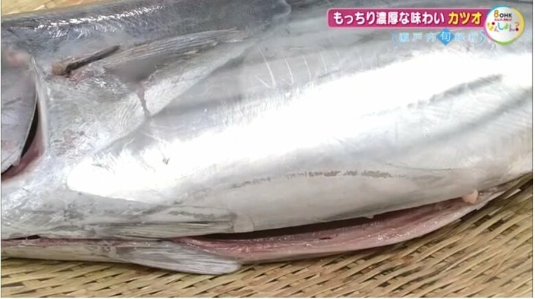 本カツオのお腹は銀白に輝く「メタリック」な見た目