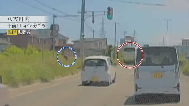 独占入手した720秒のドライブレコーダー。事故前後の一部始終が記録されている