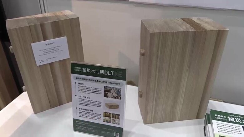 「WOODコレクション」で被災木を使った製品を展示