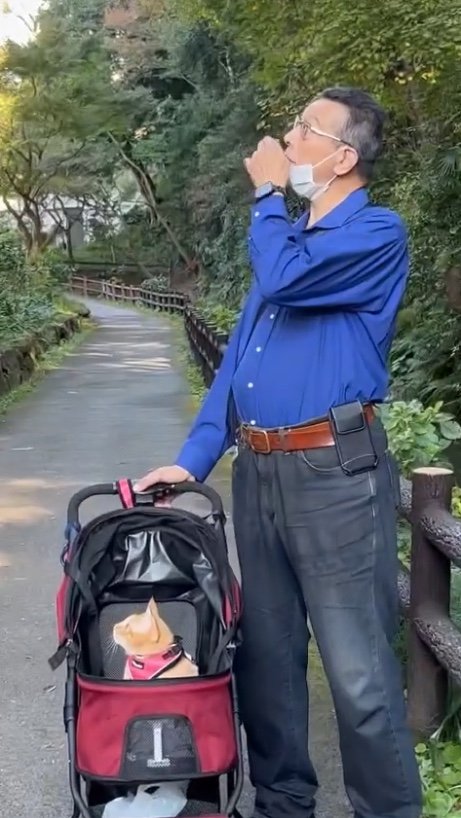 提供：cohakuさん