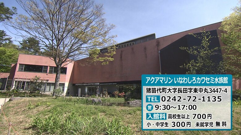 アクアマリンいなわしろカワセミ水族館（福島・猪苗代町）
