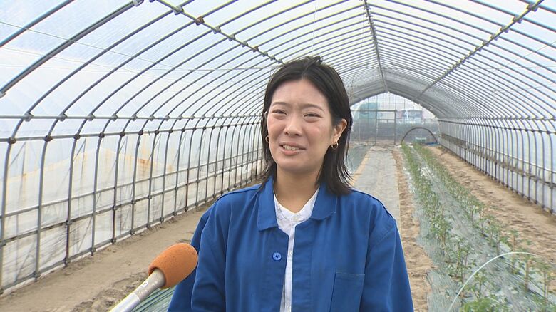 ここのやさい　伊藤春陽さん