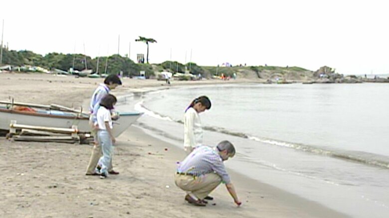 葉山御用邸のそばの一式海岸でくつろがれる秋篠宮御一家