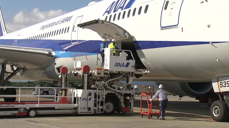 全ての作業に資格が必要