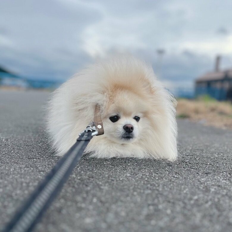 進みたくないです