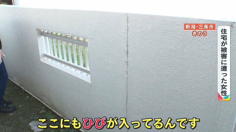 一カ所ではなく、複数箇所にひび割れが入っている