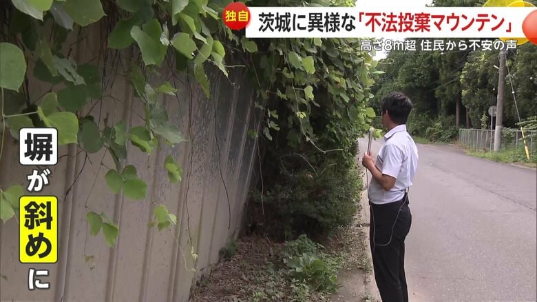 塀が斜めになって倒れかかっている場所もある