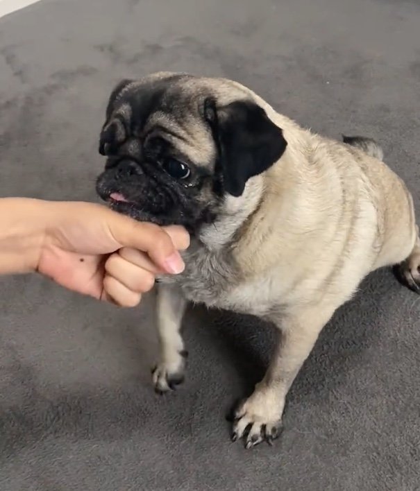 提供：ボンさん