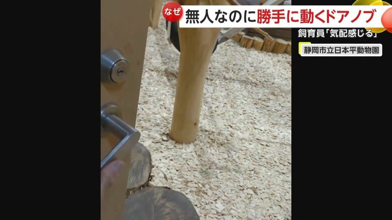 人はいないはずなのに動きだすドアノブ（静岡市駿河区の静岡市立日本平動物園）