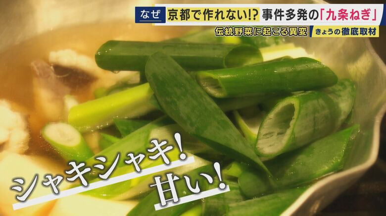 1000年以上の歴史を持つ京都の伝統野菜「九条ねぎ」