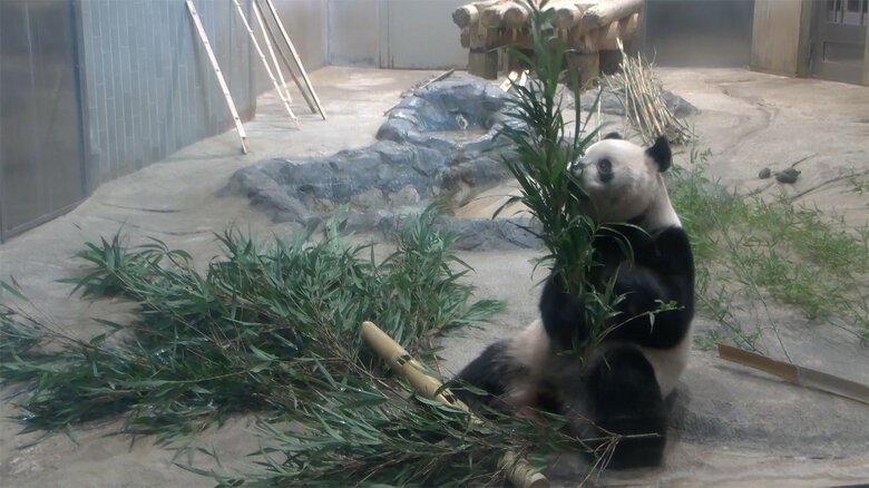  (公財)東京動物園協会提供