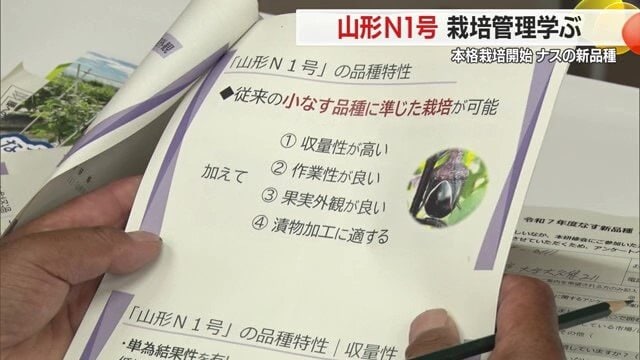 座学でナスの新品種の特徴・栽培メリットなどを生産者たちに伝える