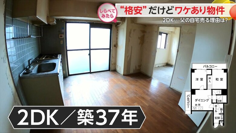 築37年2DKの物件