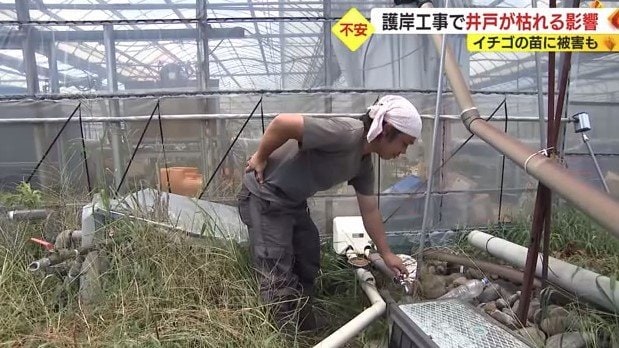 渡瀬さんのイチゴハウス