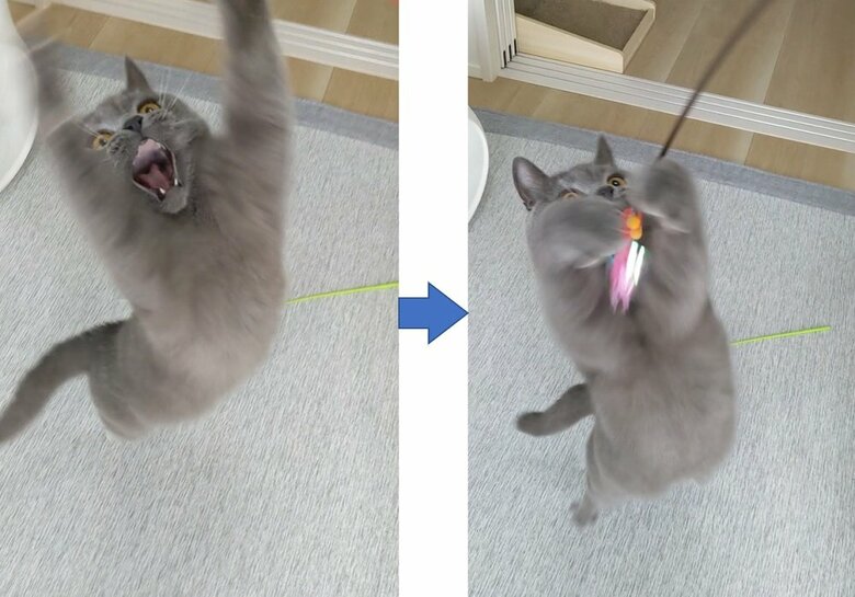 活発な光太郎くん