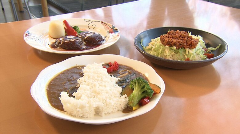 東宝スタジオのカフェテリアでは取り組みにあわせて12月2日からプラントベースメニューを提供する