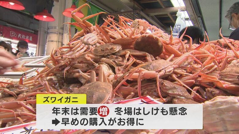 今年は早めの購入がお得！？