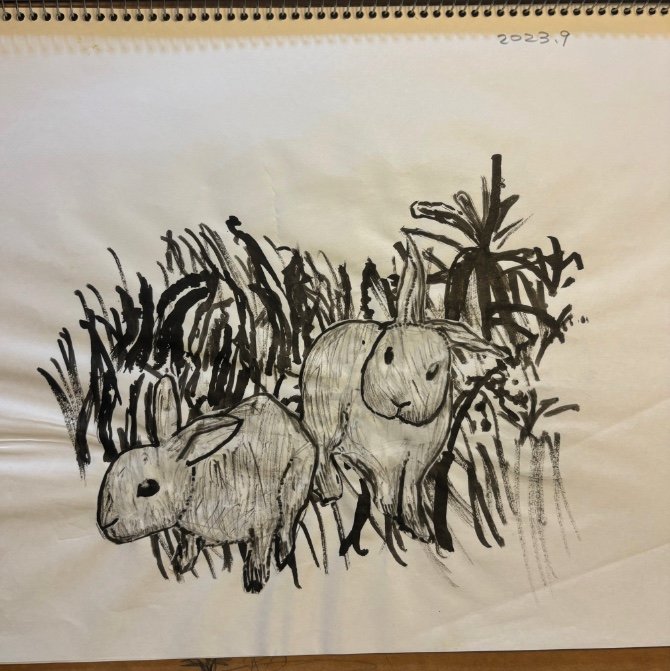 提供：櫻井京太郎さん