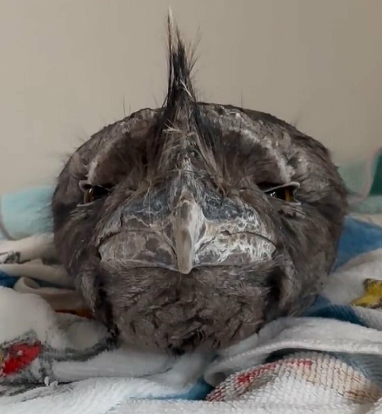 巣作りしてまったり