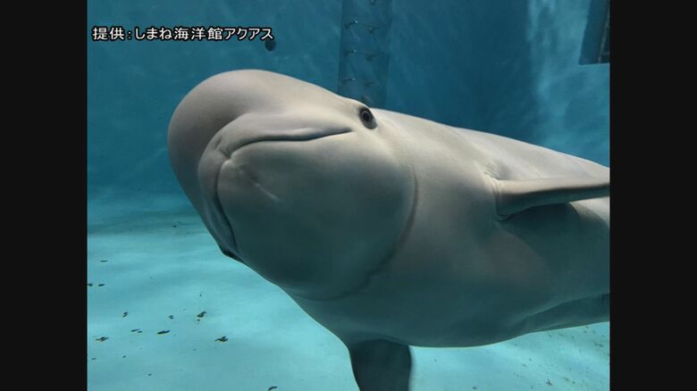 スタッフのカメラに向かってポーズ！？