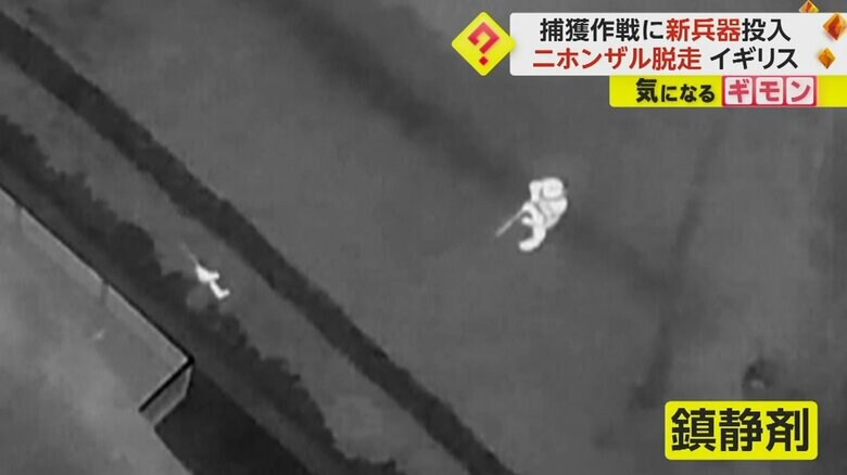 ニホンザルに近づく人が映し出された赤外線カメラの映像