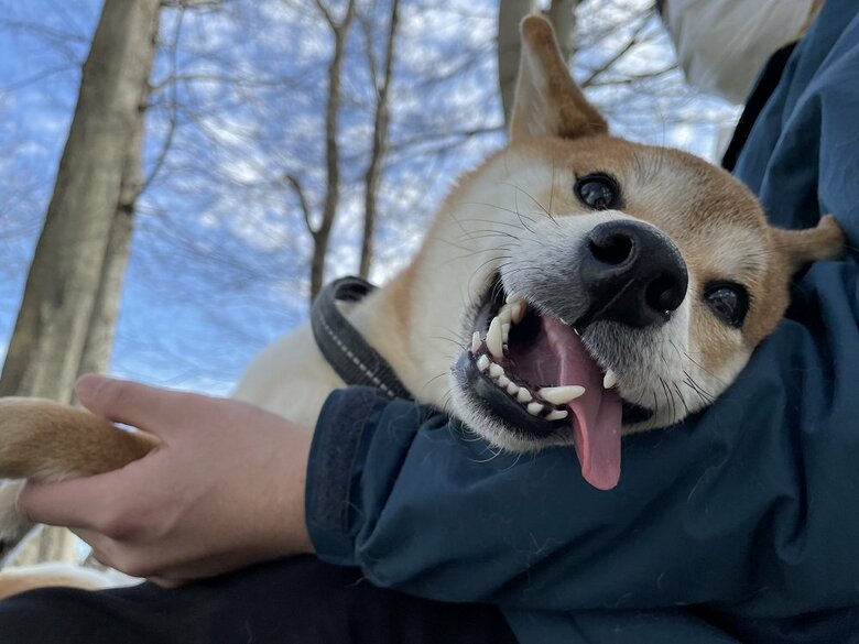 抱っこされてデレデレ