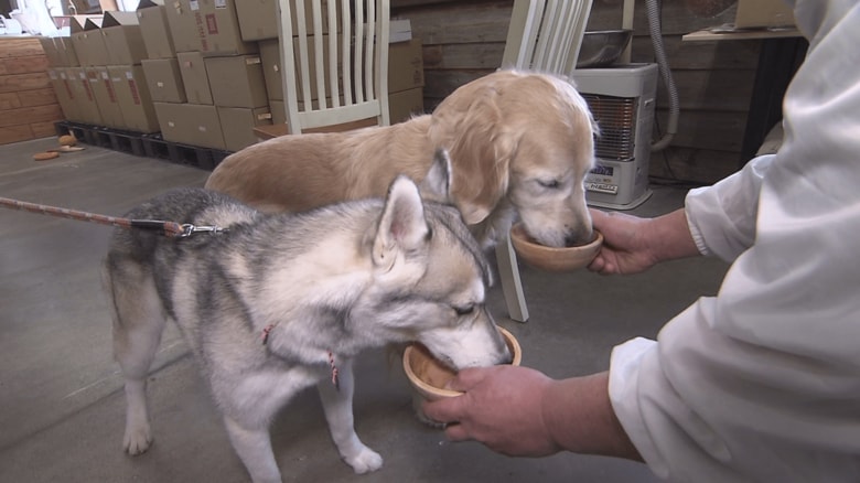 「犬用のレトルト商品も次々に商品開発」