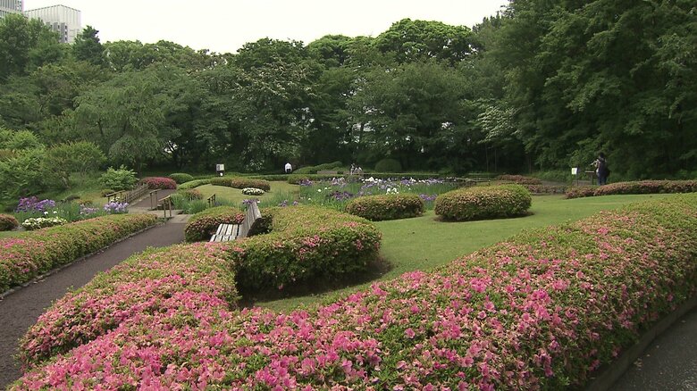 二の丸庭園（東御苑）
