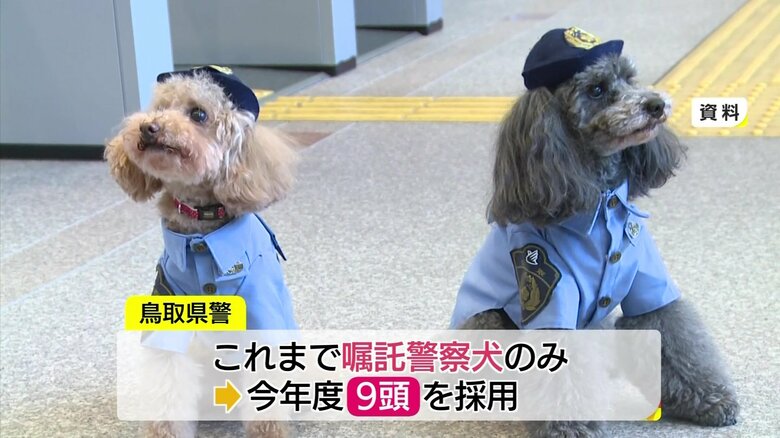 2022年6月に引退した「広報犬」のカリンとフーガ