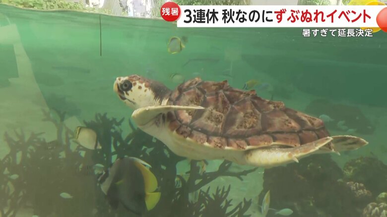 鴨川シーワールド