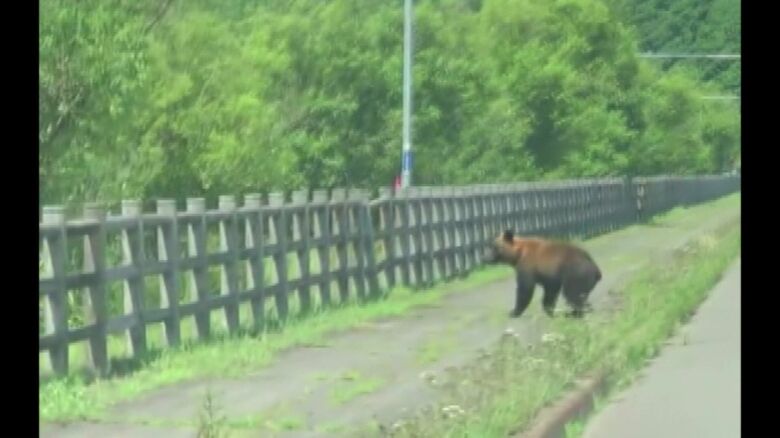 撮影：hayataku＠hayataku2000