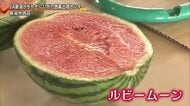 シャリ感抜群！甘み十分！　新潟小玉スイカ　その名も「ルビームーン」、試食会開催【新潟市西区】