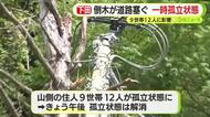 倒木が道路を塞ぎ9世帯12人に影響　一時孤立状態に