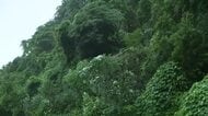 タイヤに電柱を支えるワイヤーが絡まり…軽トラックが横転し助手席の男性が死亡　台風との関連を調査