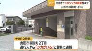 市街地でニホンジカの目撃相次ぐ　山形・山形市