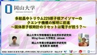 結晶中トリウム229原子核アイソマーのクエンチ機構の解明に前進～固体原子核時計のリセットは電子が担う？～〔岡山大学, 高輝度光科学研究センター, 京都大学, 理化学研究所, 大阪大学〕
