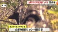 山形市前田町でクマ1頭目撃【山形・山形市】