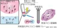 【徳島大学】室温・光駆動で生み出したスピンの偏りをがん代謝MRI診断薬分子「ピルビン酸」へリレーすることに成功～分子が数秒で組み上がる現象を利用し、次世代高感度MRI の実現へ前進～
