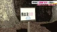紅葉ライトアップの実施か中止か…熊出没に揺れる福島県の名所　目撃情報は1530件で過去最多に