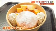 「西島園芸団地」で完熟マンゴーが収穫最盛期　約1個をぜいたくに使った絶品パンケーキも【高知】
