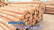宮崎県 スギ丸太生産量30年連続日本一